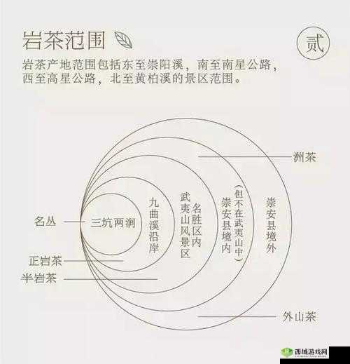 99 品一二三产区区别：特点与差异全解析