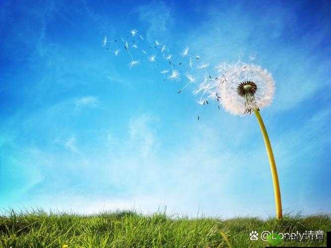 突然掉出透明一坨，引发奇妙景象