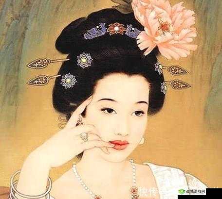 丰裕纵满杨玉环 2588 演员表揭示了什么：背后的秘密