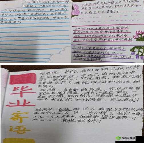 校园成长记录：青春岁月的珍贵足迹