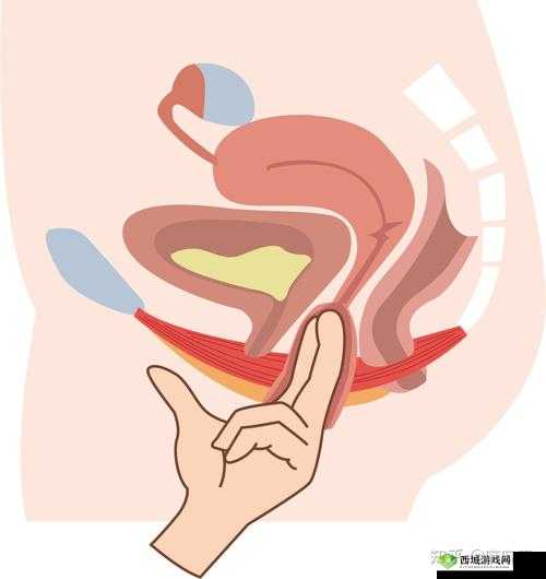女生做完下面疼几天能恢复：影响因素及应对策略
