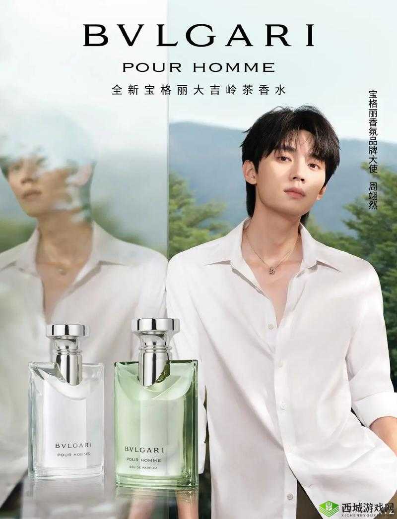 人与各种动 ZZZ0O0OXXX：探索未知的奇妙世界