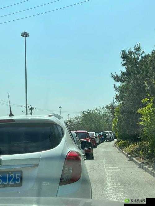 伊甸园一路二路三路四路入口：探索神秘之地的起点