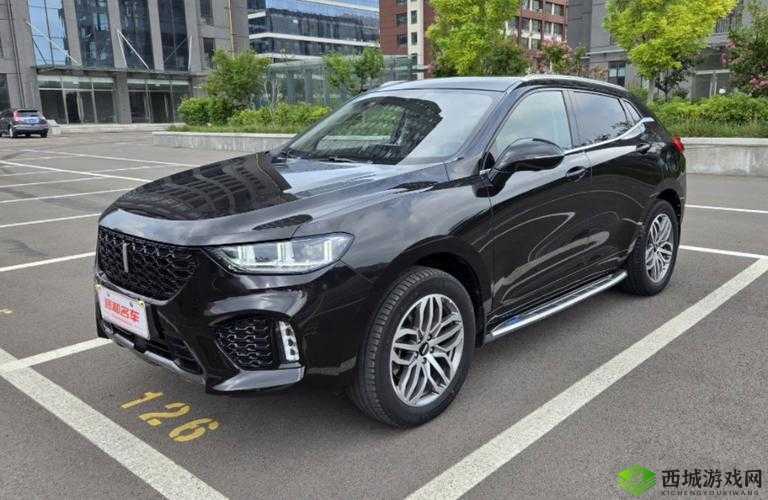 WEYVV5 国产 SUV：魅力无限的汽车之选