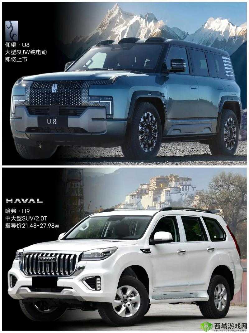 欧洲版国产 SUV：品质卓越的出行选择