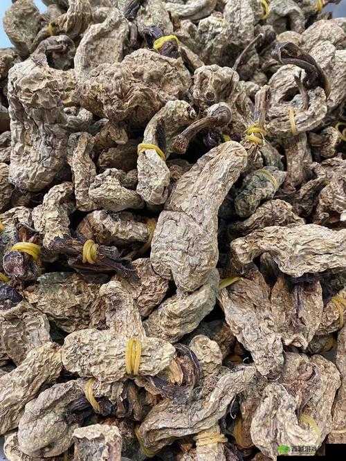 hlw 黑料热点事件-黑料不打引关注