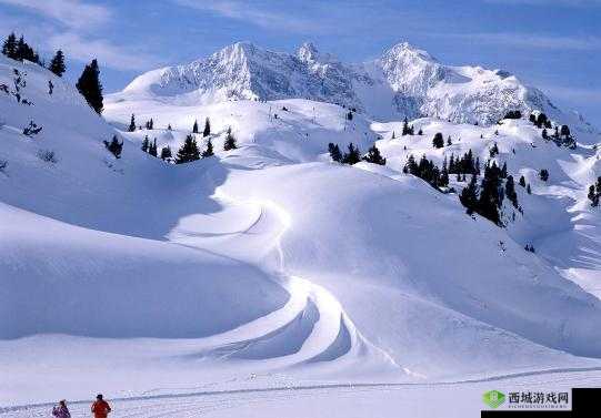 雪白玉峰弹跳而出震撼画面
