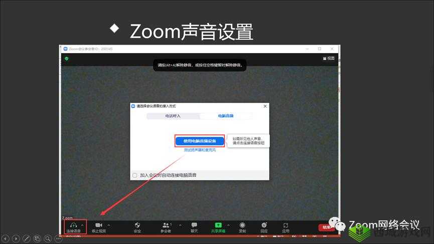 揭秘 ZOOM 与人性 ZOOM2024：是否不限制出入