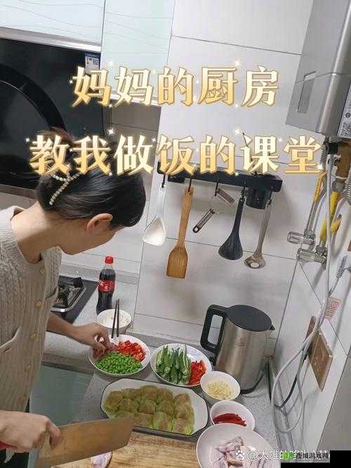 从厨房一路做到客厅：见证家务劳动的漫长征程