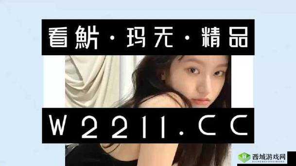 精品无人区码一二三四区别在哪儿：深入探究其背后的不同之处