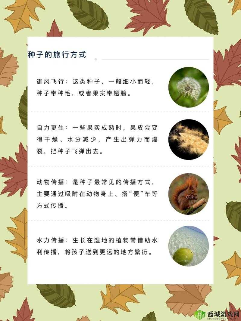一起草在哪 17c14：探索自然的奥秘