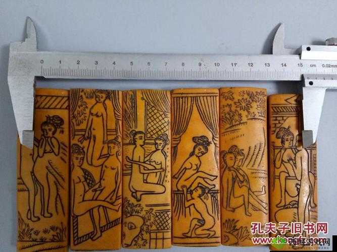 古人压箱底图 108 式：探寻古代隐秘技艺背后的智慧与魅力