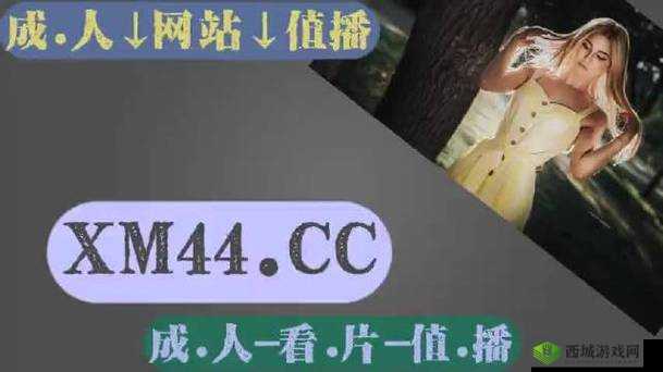 搞机 TIME 恶心网：深入探索搞机世界的独特视角