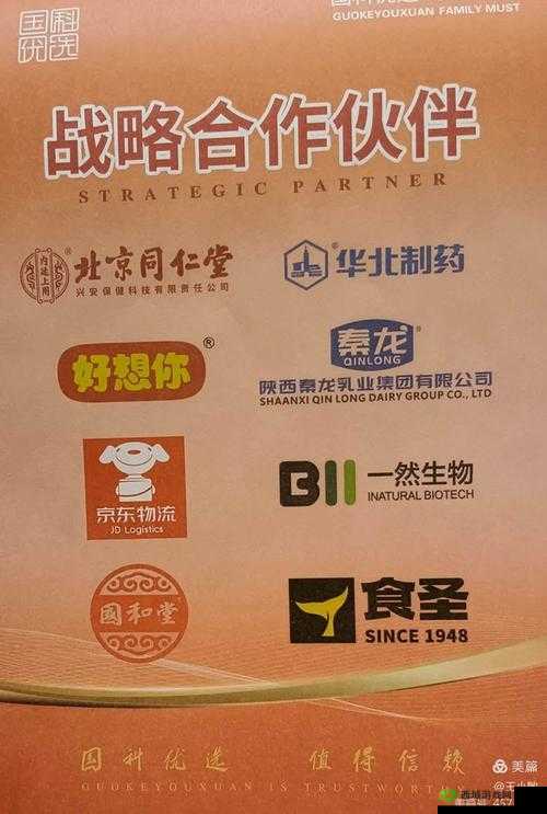 国精产品 999 国精：引领品质新高度的杰出代表