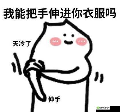 我能把手伸到你的衣服吗什么意思：探究背后的深层含义